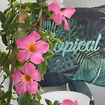 Elegant Relax Near Veron Center Fair Garda Appartement *