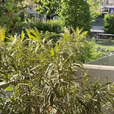 Apartment Elegant Relax Near Veron Center Fair Garda Verona