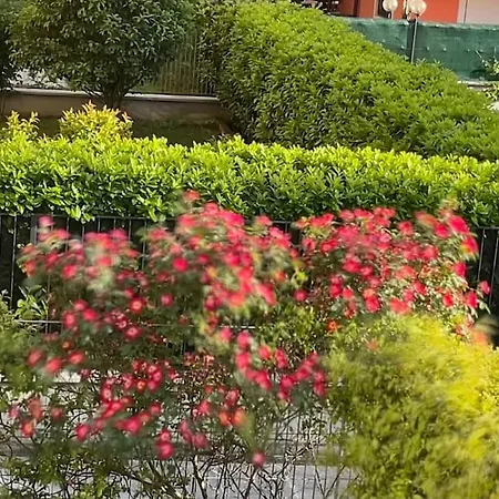 Elegant Relax Near Veron Center Fair Garda